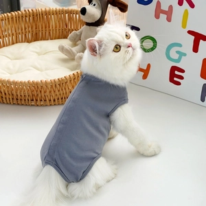 Dettaglio di un gatto a pelo lungo con tuta post-operatoria grigia in un ambiente accogliente