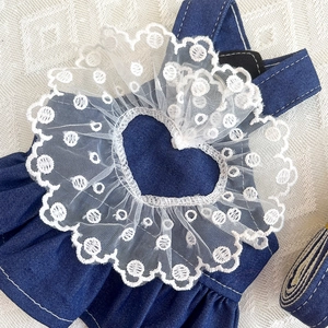 Detailed view of denim pet dress with heart-shaped lace collar and matching leash set