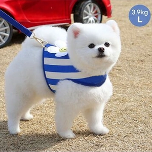Blue striped pet harness with daisy pattern and nylon leash for 3.9kg dogs size L