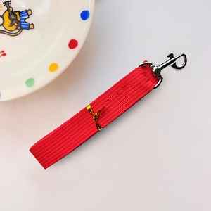 Detail of red nylon pet leash strap with durable silver metal swivel lobster clasp