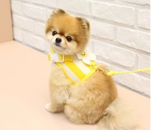 Detail of yellow striped pet harness featuring a smiling sunflower charm and breathable mesh