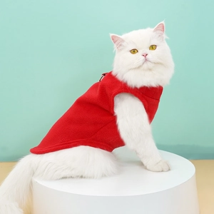 Gilet d'hiver en polaire rouge pour chat blanc montré dans un décor de studio moderne