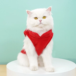 Vue de face d'un chat blanc portant un gilet doux en peluche rouge pour animaux de compagnie