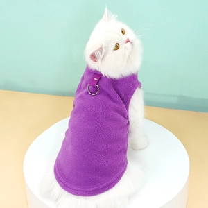 Détail d'un gilet en polaire violette avec anneau en D sur un chat blanc