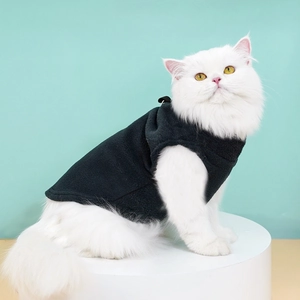 Gilet en polaire noire pour chat porté par un chat blanc à poils longs en studio photo