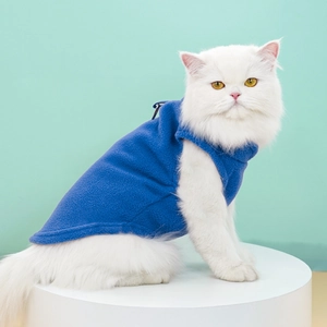 Détail d'un gilet pour chien en polaire bleu roi avec harnais sur un chat blanc