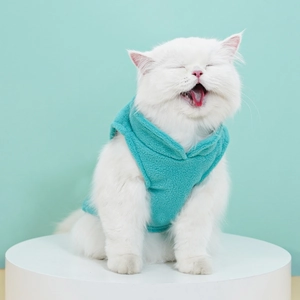 Detail view of a white cat wearing a soft cyan fleece vest on a display stand