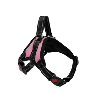 Detail eines Hundegeschirrs aus Nylon mit Sicherheitsschnallen und atmungsaktivem Netz