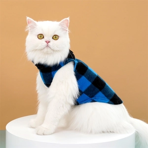 Gros plan d'un chat blanc portant un gilet en polaire à carreaux bleu et noir sur socle