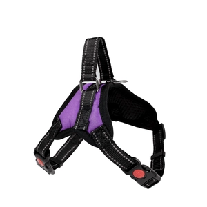 Detail eines lila Hundegeschirrs mit atmungsaktivem Mesh, Reflexstreifen und Sicherheitssperre