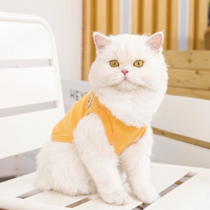Detail of yellow knit pet vest with bear patch embroidery on a white cat