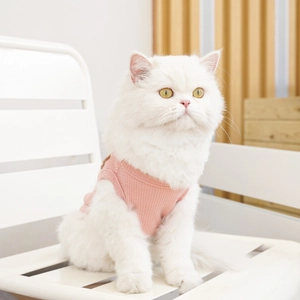 Detailed texture of a pink waffle knit pet vest on a white cat in a cozy home setting
