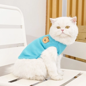 Close-up of sky blue waffle knit cat vest featuring a cute brown bear patch detail