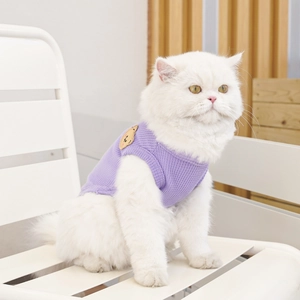 Detail of purple knitted pet vest with cartoon bear embroidery on white cat