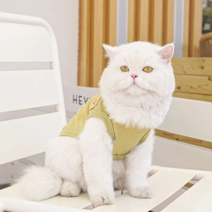 Detail of mustard yellow waffle knit pet vest on a white cat in a cozy home setting