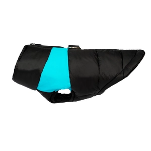 Padded winter dog vest in black and teal blue featuring a zipper closure and D-ring hooks