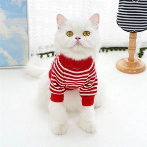 Detail of red and white striped pet sweater showing knitted texture on a white cat