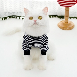 Close-up of black and white striped pet sweater with ribbed cuffs on a white cat