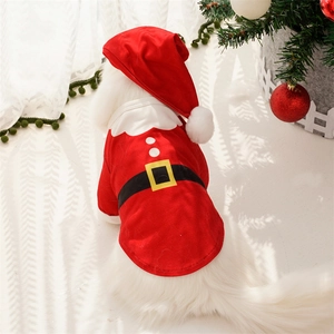 Close-up of a festive dog Santa Claus outfit with a matching hat and plush pompom detail