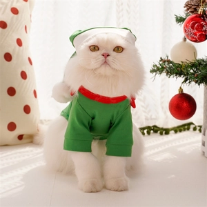 Christmas elf pet costume with green shirt and hat for small dogs and cats on holiday
