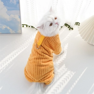 Thick orange corduroy dog winter jumpsuit with D-ring harness worn by a white cat