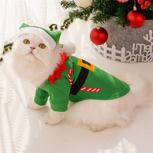 Detail view of pet Christmas elf costume with green knit top and matching hat on white cat