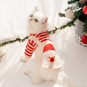 Close-up of a white cat wearing a festive Santa patterned Christmas pet sweater
