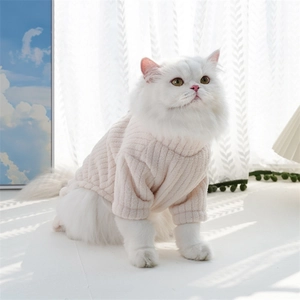 Close-up of thick waffle knit fabric on pink pet sweater worn by a white Persian cat