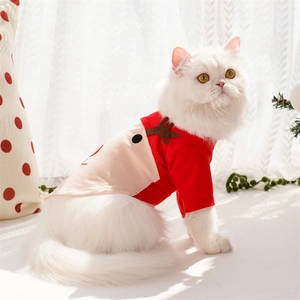 Detail of red and white Christmas reindeer pet outfit on a long-haired white cat