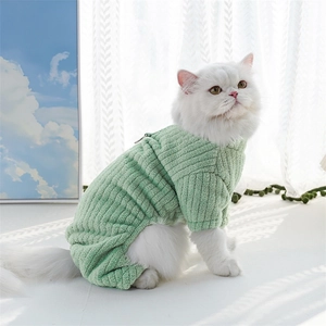 Detail of light green ribbed pet sweater with back zipper closure on a white fluffy cat