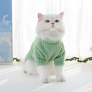 Detail view of a soft light green ribbed knit sweater worn by a white cat on a bright sill