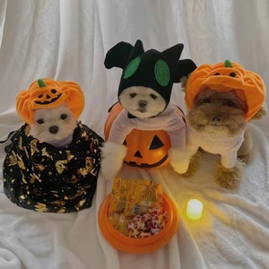 Halloween Haustier Kürbishut und schwarzes Teufel-Stirnband mit Umhang für Hunde