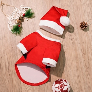 Detail of Santa dog costume with red shirt, mini hat, and festive pinecone decor