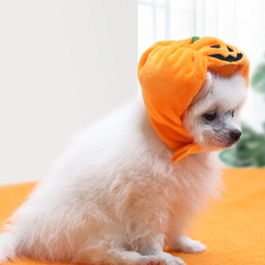 Nahaufnahme einer plüschigen orangen Kürbis-Mütze für kleine Hunde und Katzen