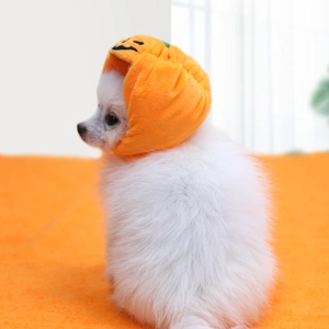 Nahaufnahme eines flauschigen orangefarbenen Kürbishuts für kleine Hunde mit Stickerei