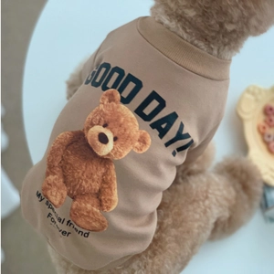 Close-up of khaki pet fleece hoodie featuring a cute teddy bear print and ribbed cuffs