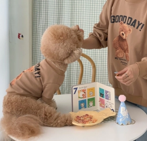Matching owner and dog hoodies featuring brown cotton fabric and teddy bear print