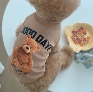 Close-up of khaki pet sweatshirt featuring a teddy bear print and Good Day text
