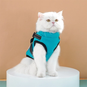 Detail of blue padded cat vest with adjustable buckle and reflective safety strap