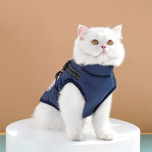 Close-up of deep blue padded pet vest with high-strength buckle on white cat