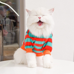 Detail of warm striped pet sweater with red and green colors on a fluffy white cat