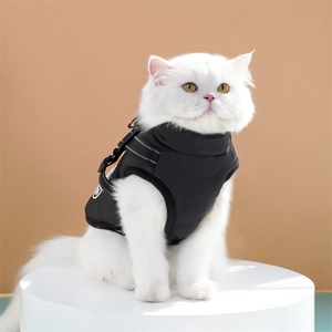 Close-up of black waterproof dog winter vest with metal D-ring and buckle harness detail