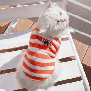 Orange and white striped pet sweater with embroidery on a white cat for winter warmth