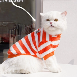 Detail of orange and white striped knitted pet sweater on a white cat, side view