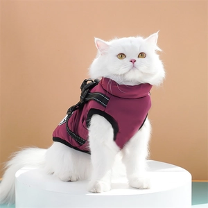 Close-up of a purple padded winter vest with harness straps on a white longhair cat