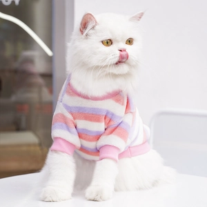 Detail of pink and purple striped fleece pet sweater worn by a white cat in soft lighting