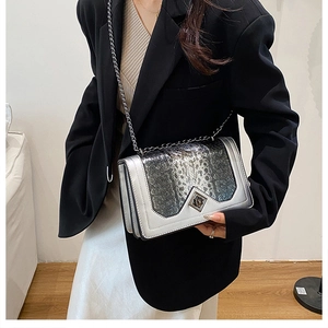 Detail of silver crossbody bag with snake pattern texture and metallic chain strap