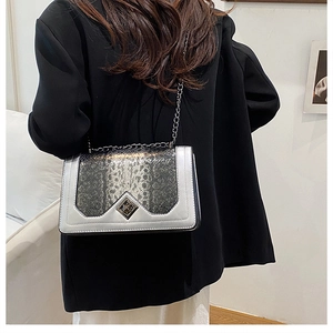 Silver snakeskin crossbody bag with metal chain shown on model in a minimalist style