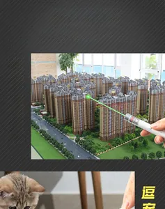 Green laser pointer shown pointing at architectural models and playing with a pet cat