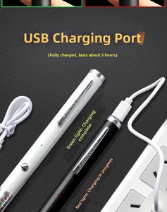 Detail of USB rechargeable laser pointer showing charging port and indicator light status